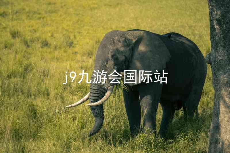 j9九游会国际站
