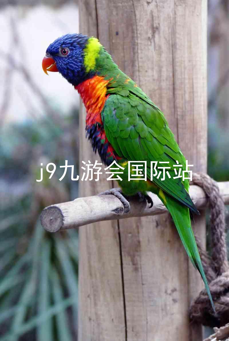 j9九游会国际站